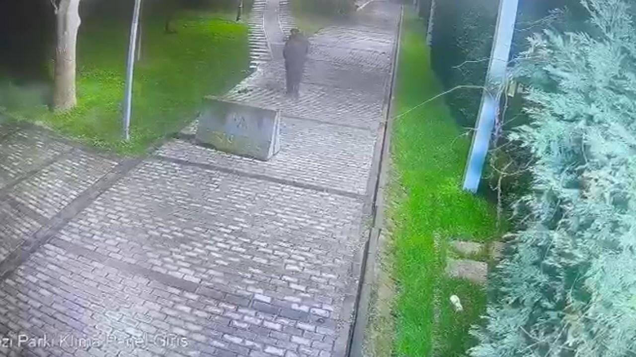 Parkta bulduğu telefonu cebine attı! Kameraya yakalandı