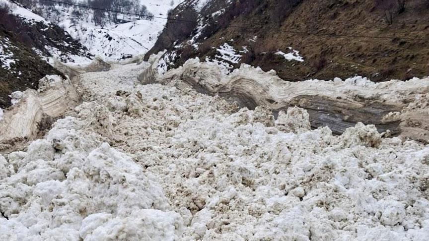 Van'da çığ felaketi! 1 mahalle ve 8 mezraya ulaşım kesildi