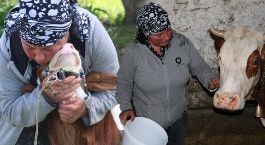 Gürcistan’dan Erzincan’a gelin geldi! Türkçeyi öğrendi, hayvancılığa başladı