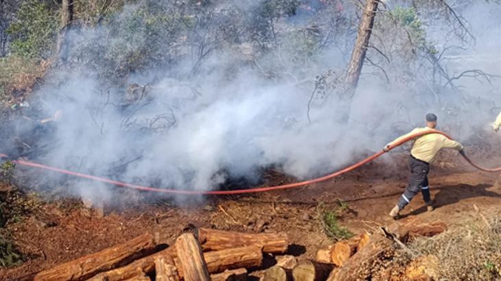 Hatay'da iki farklı noktada orman yangını