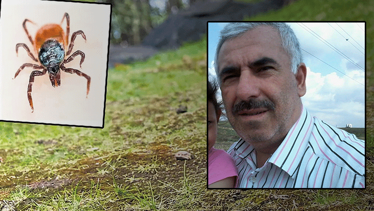 Sivas’ta kene alarmı! İstanbul’dan memleketine gitti: Madımak topladıktan sonra rahatsızlanıp öldü