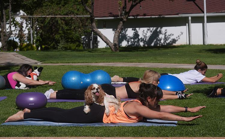 Ücretsiz spor ve pilates dönemi! Sağlık Bakanlığı’nın uygulaması milyonlarca kişiyi ilgilendiriyor