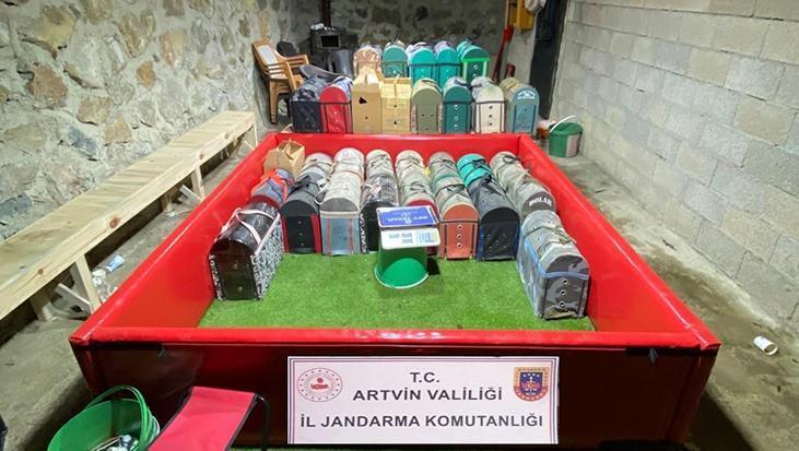 Artvin’de horoz dövüşü baskını! Bahis defteri çıktı, ceza yağdı