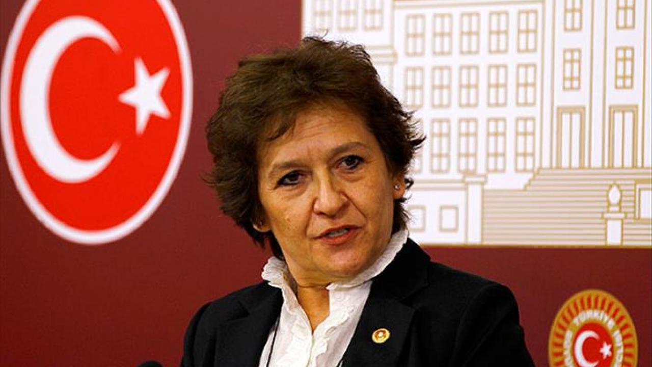 CHP’li Güler “FETÖ partilere yapışan bir deniz kabuklusu” AK Parti silkelendi kurtuldu!