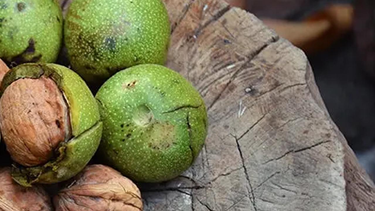 Damarlarınızı temizliyor: Yiyen yaşadı! Kolesterolü düşürüyor