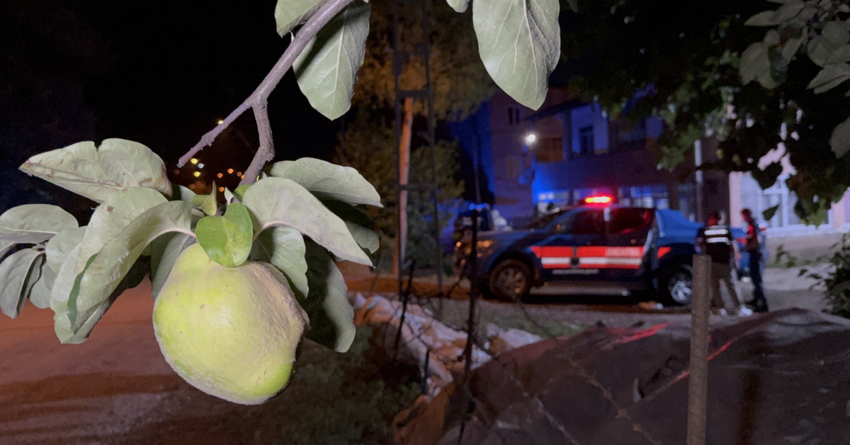 Samsun’da ayva ağacını kesen amcasını tabancayla öldürdü