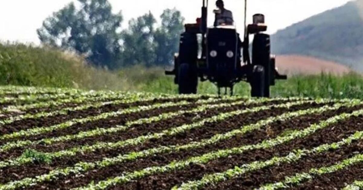 Tarımsal girdi fiyatları haziranda geriledi: Gübre fiyatlarında yıllık artış yüzde 51’e yaklaştı