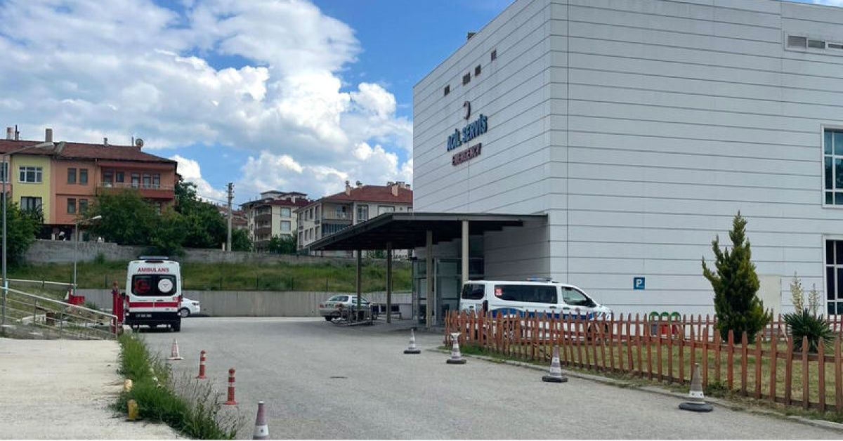 Orman işçisi, arı sokması sonucu hayatını kaybetti!
