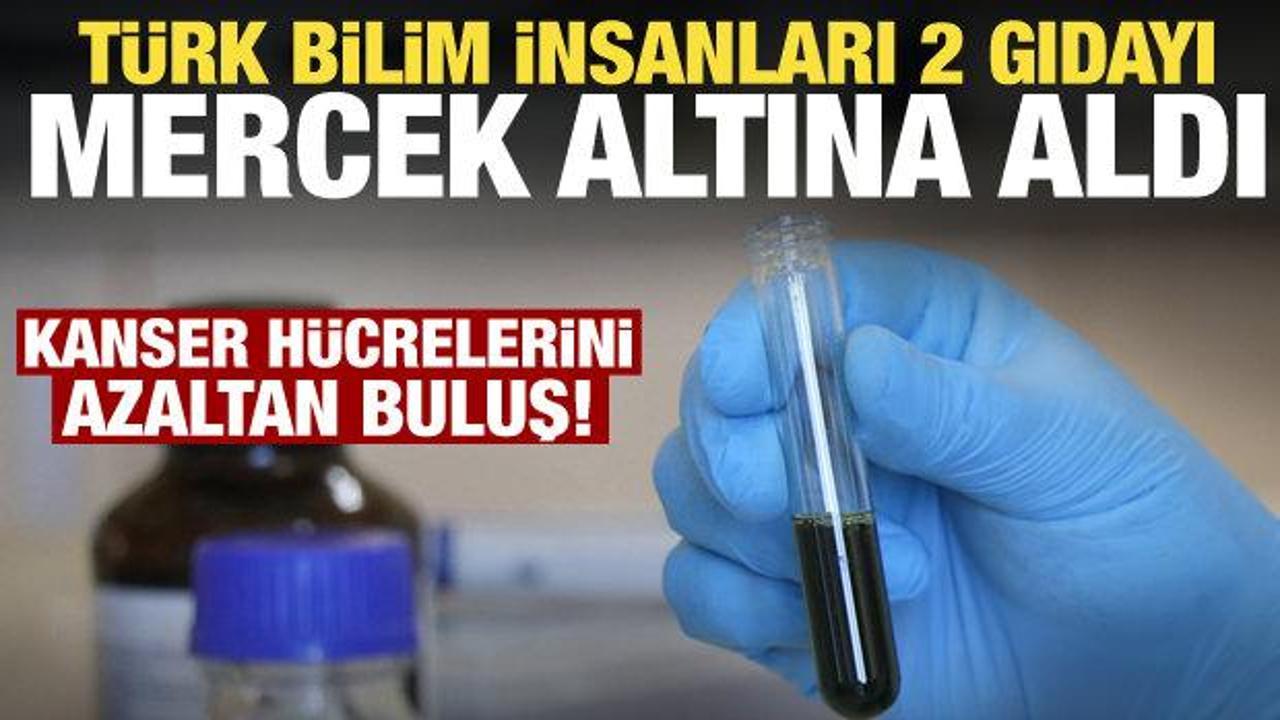 Türk bilim insanlarından kanser hücresini azaltan buluş!