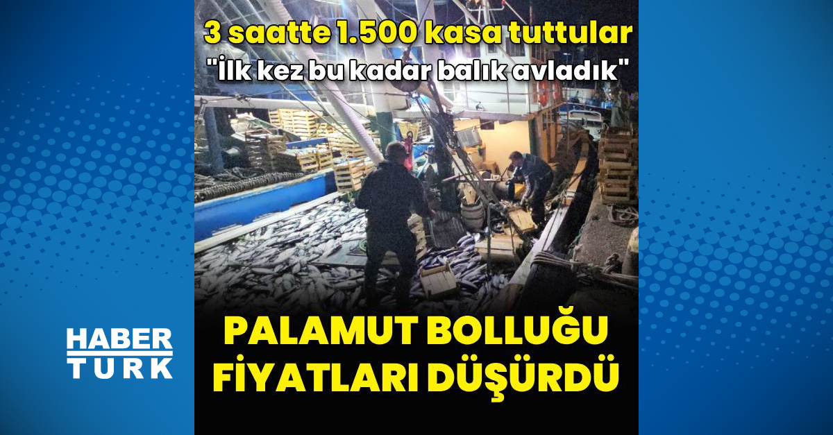 1 kiloluk palamut 40 liraya düştü