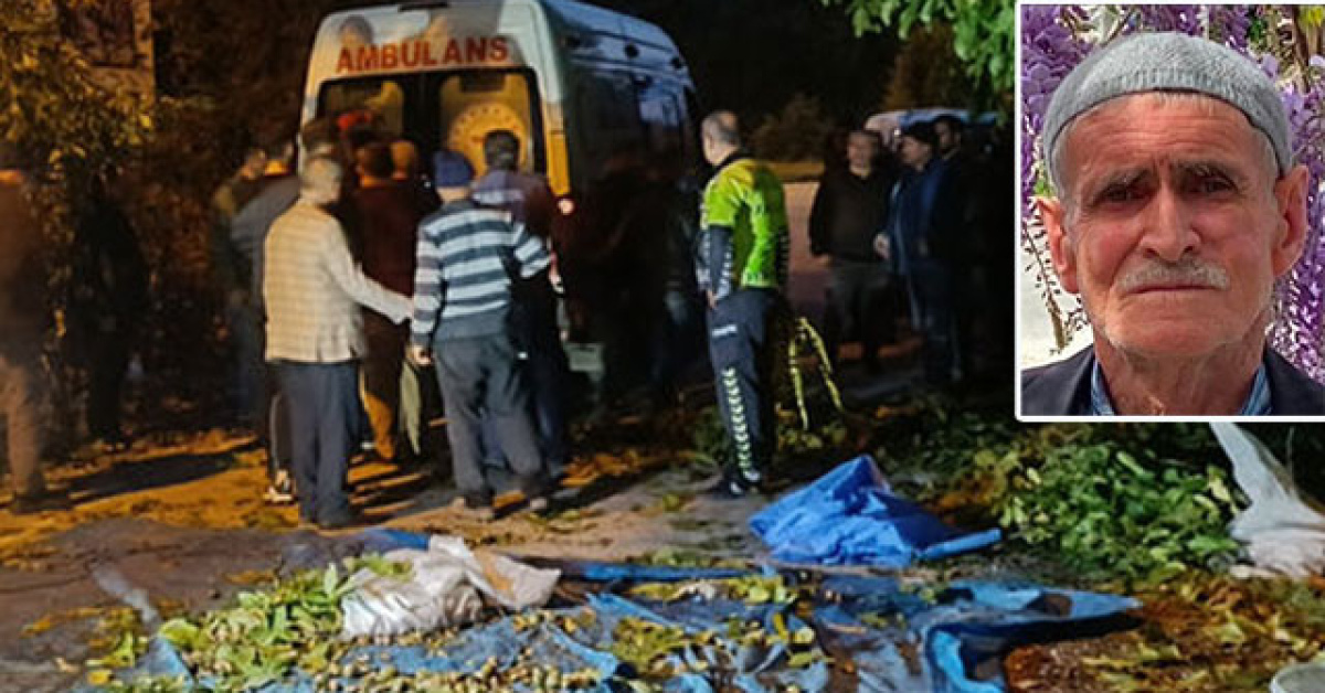 Ceviz uğruna hayatından oldu