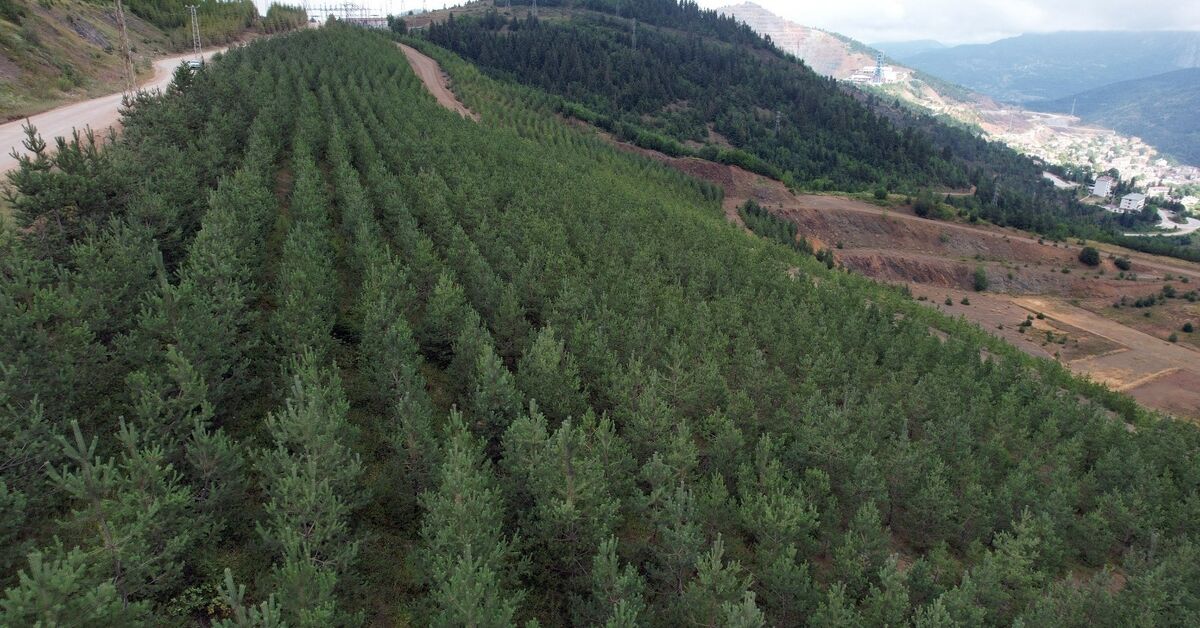 Eti Bakır, iklim ve doğa raporunu yayımladı